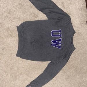 Vintage Champion UW Sweatshirt Mens Small